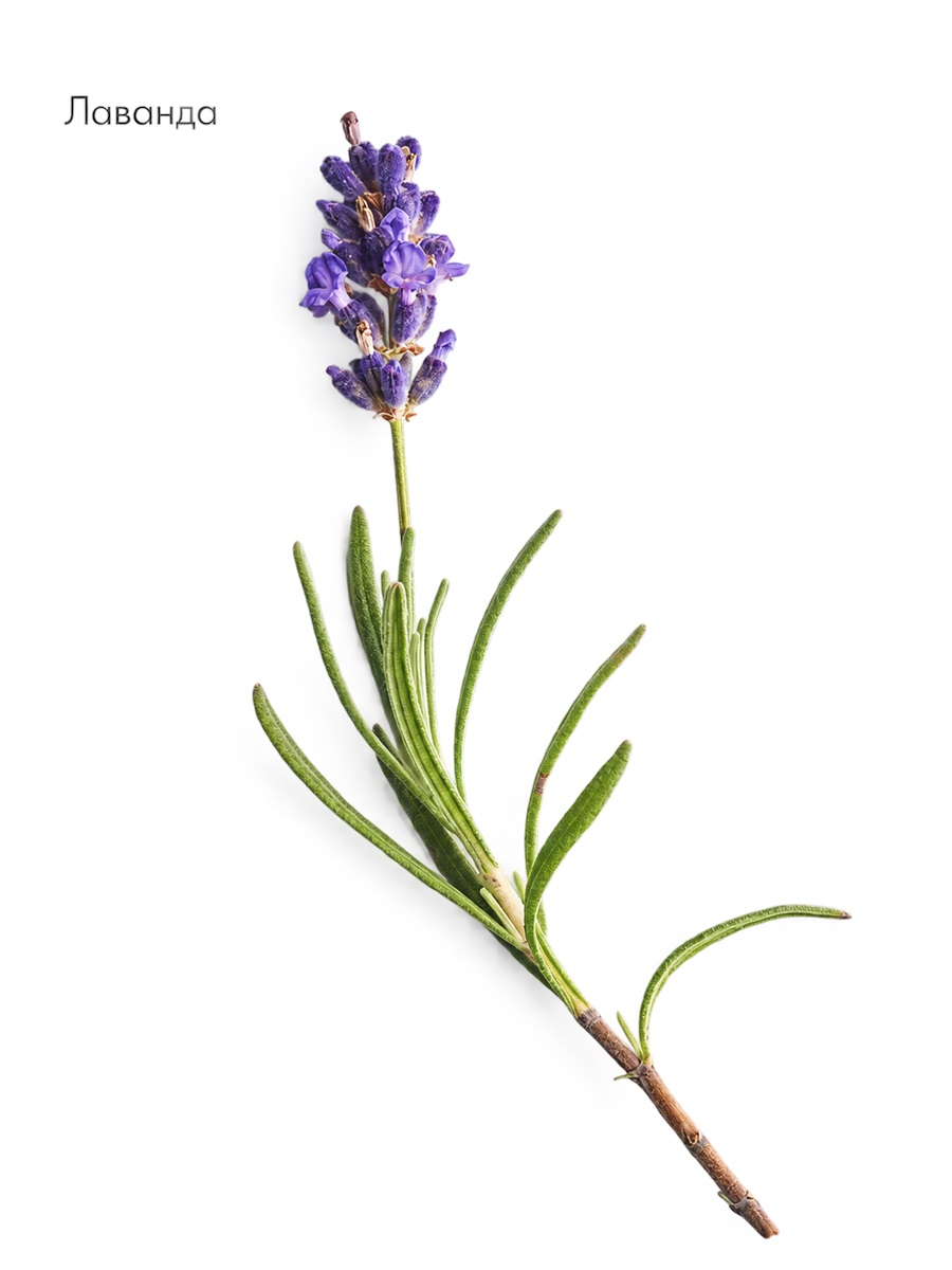 Fortifying Aroma Complex от LA BIOSTHETIQUE