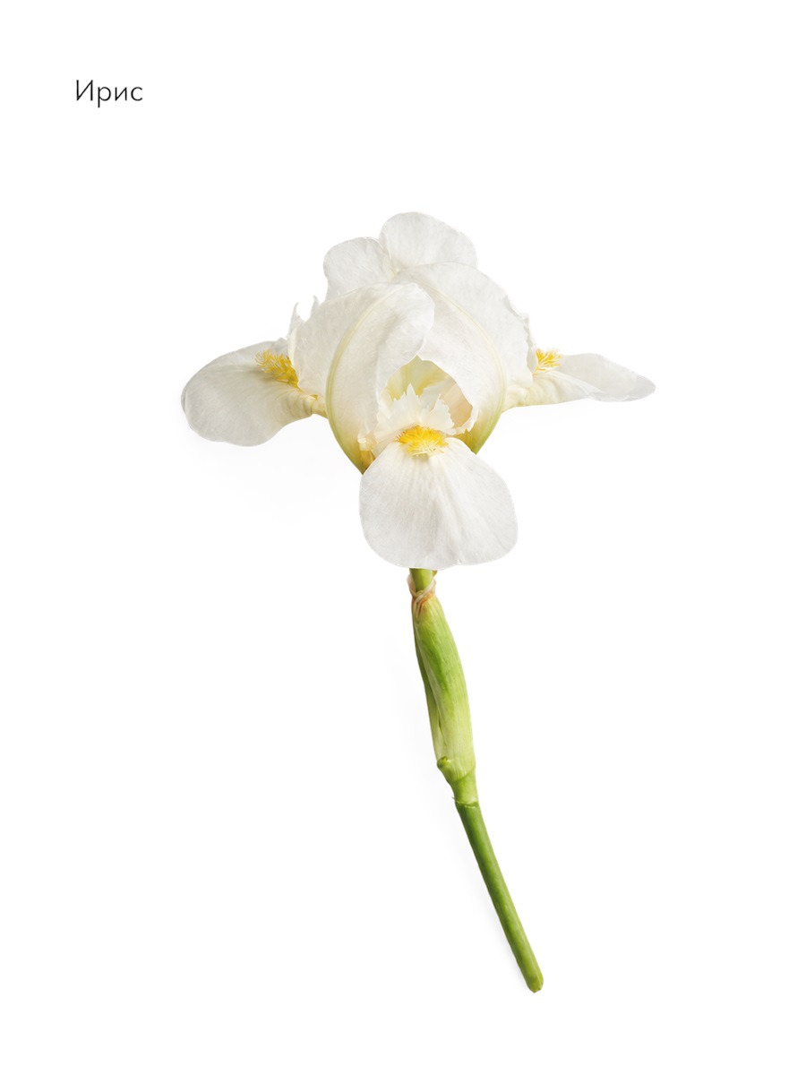 The Cream от LA BIOSTHETIQUE