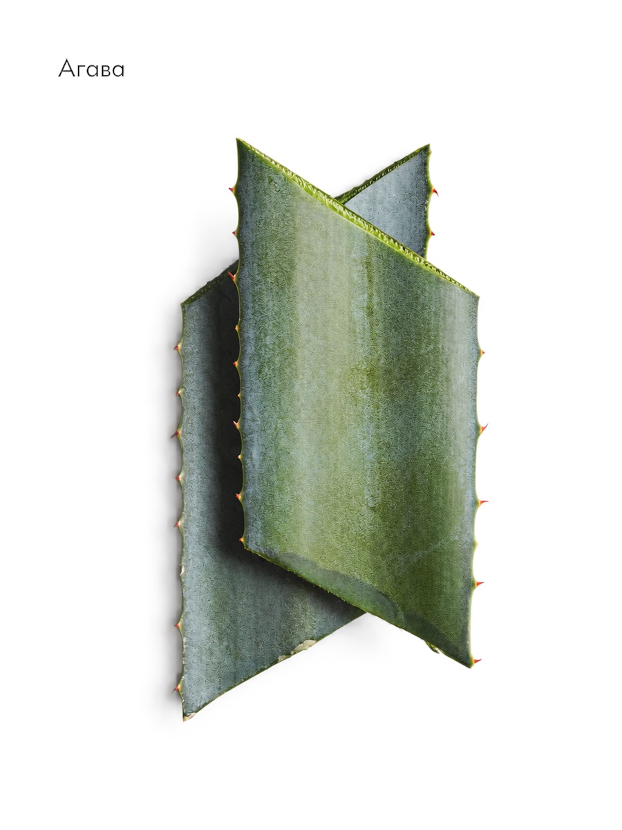 Agave Inulin Lifting Concentrate от LA BIOSTHETIQUE