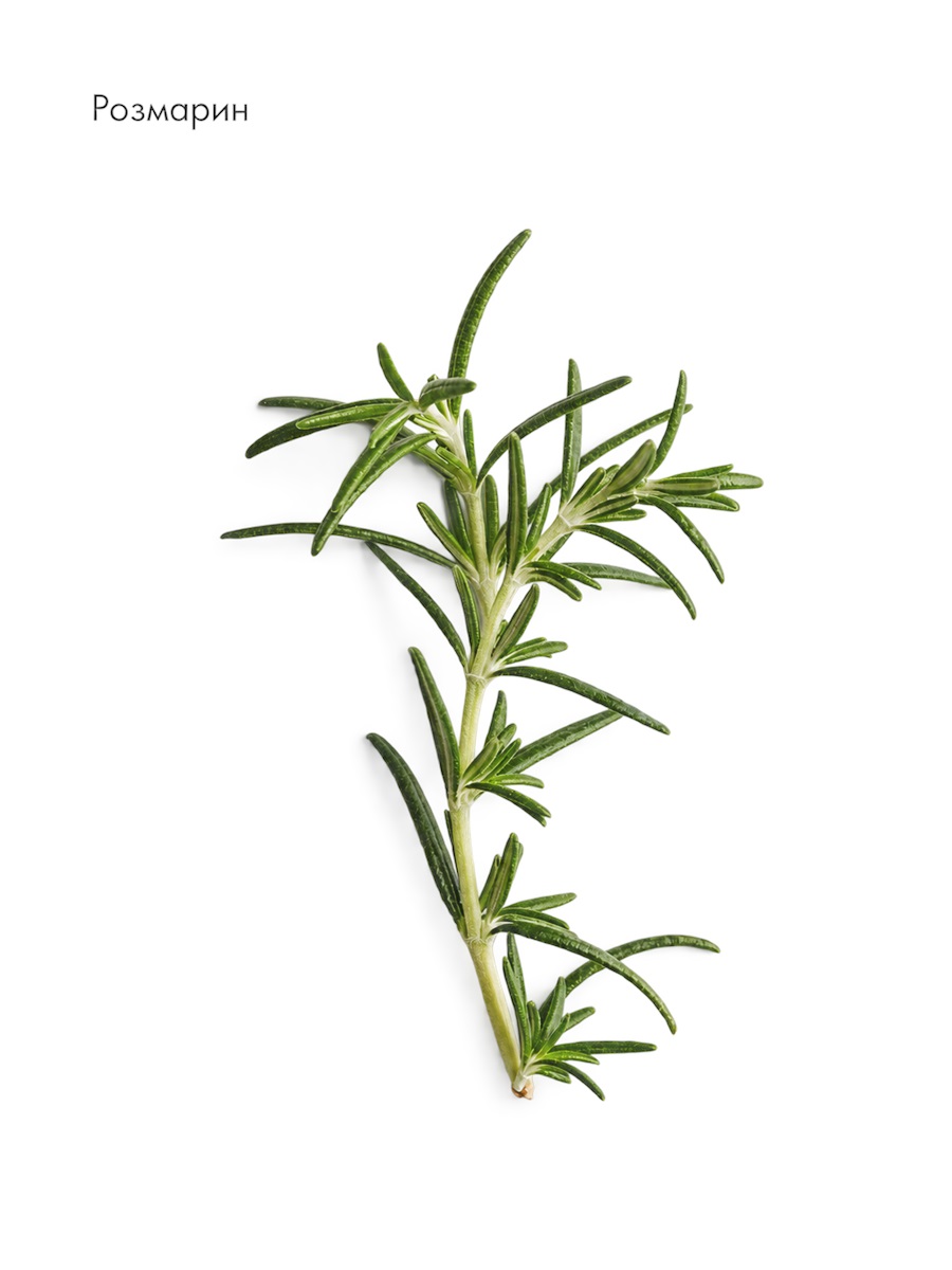 Revitalising Aroma Concentrate от LA BIOSTHETIQUE
