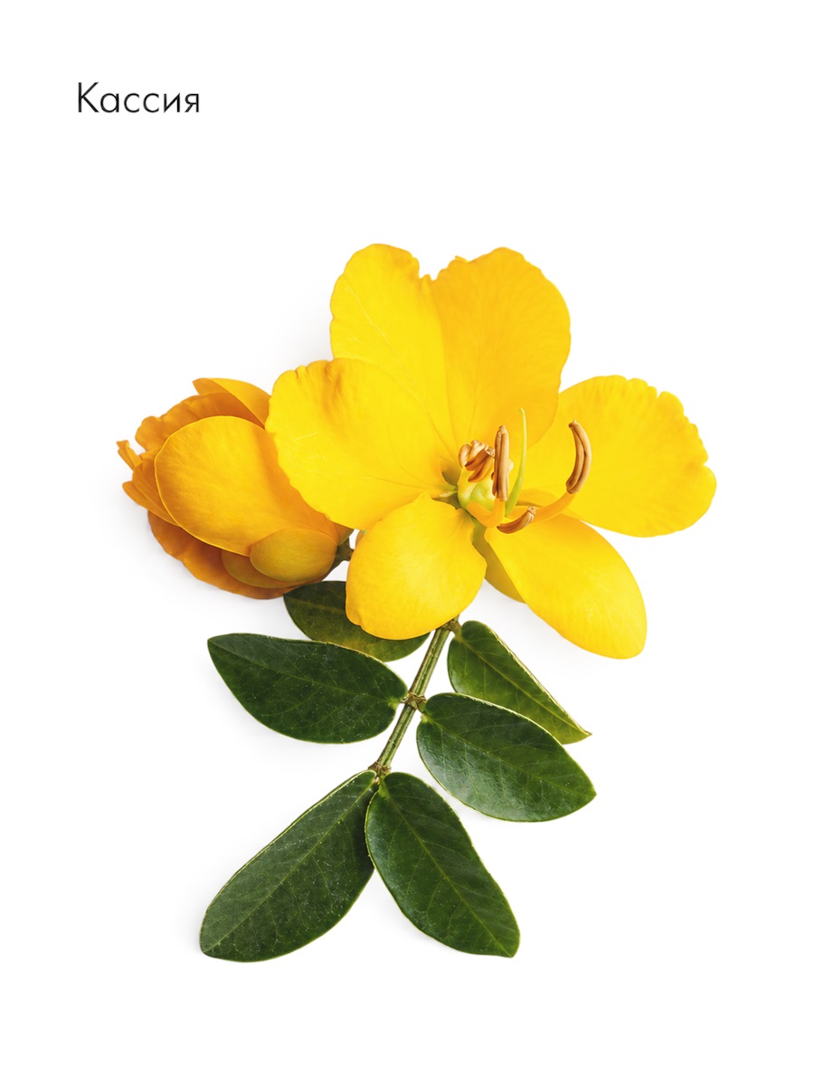 Anti-Grey Elixir от LA BIOSTHETIQUE