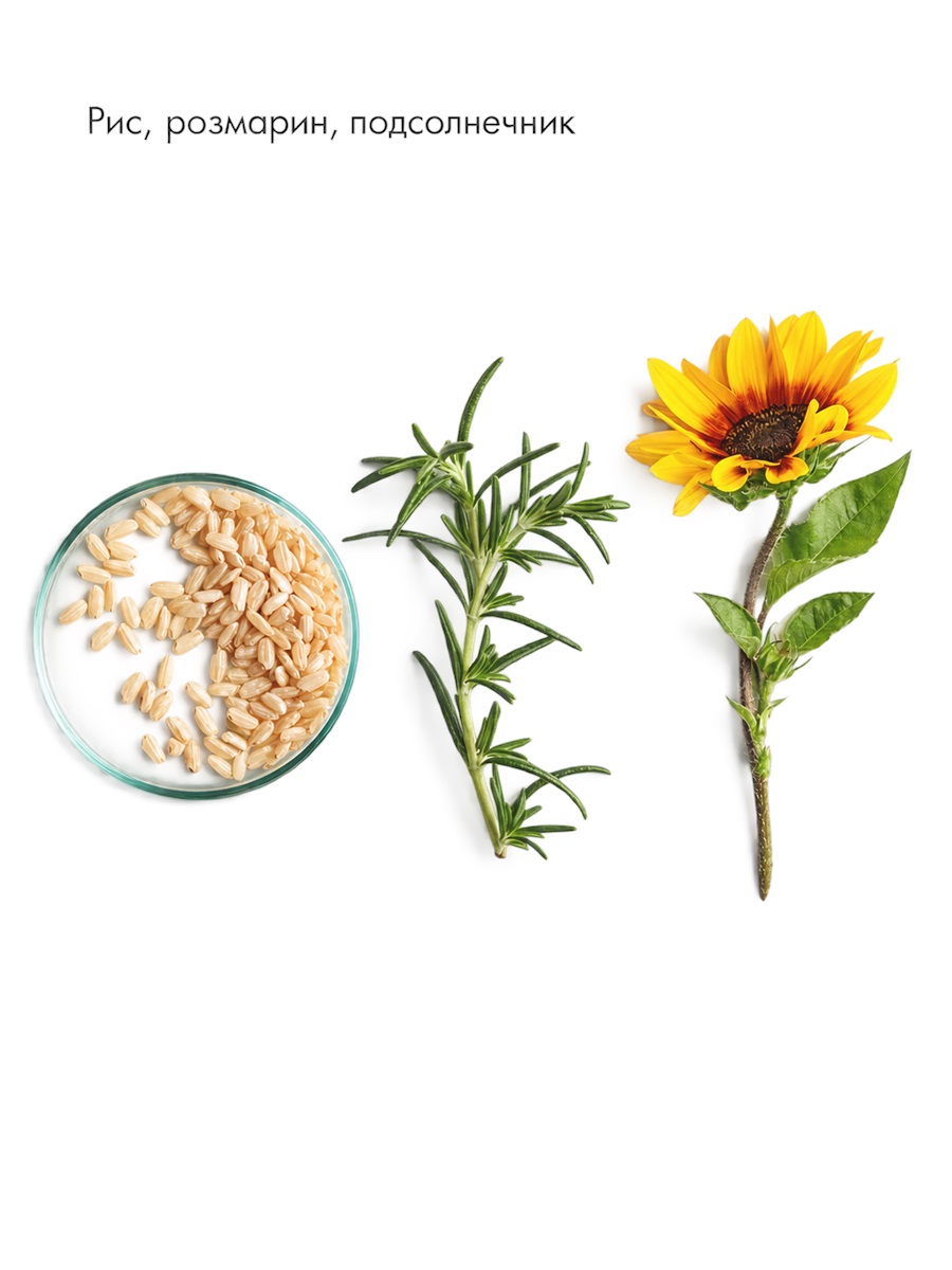 Clarifying Balance Cream от LA BIOSTHETIQUE
